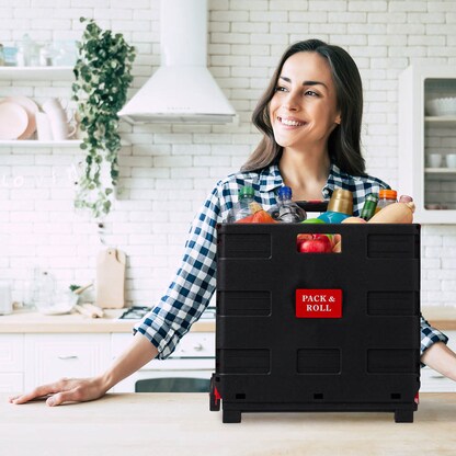 Artikelbild 4 für relaxdays Einkaufstrolley Kunststoff schwarz 46,0 x 37,0 x 39,0 cm, Artikelnummer 362014