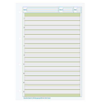 Artikelbild 3 für BRUNNEN Arbeitsblock Kieserblock gelocht DIN A4 liniert Lineatur 02, 1 Block, Artikelnummer 121653