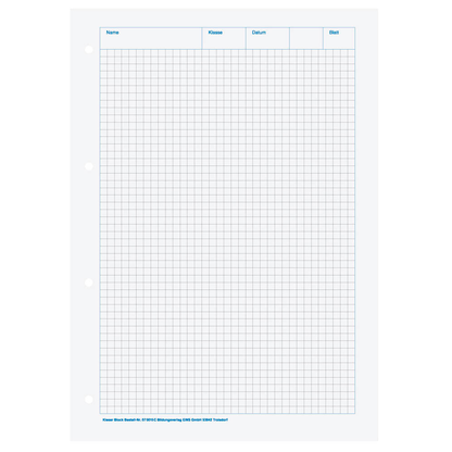 Artikelbild 3 für BRUNNEN Arbeitsblock Kieserblock gelocht DIN A4 kariert Lineatur 15C, 1 Block, Artikelnummer 121660