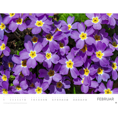 Artikelbild 3 für Heye Monats-Wandkalender Blütenmeer 2026, 1 St., Artikelnummer 551159