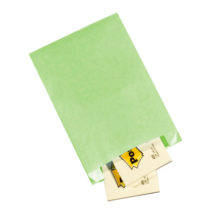 Artikelbild für VP Faltenbeutel hellgrün 15,0 x 21,0 cm, 100 St., Artikelnummer 677716