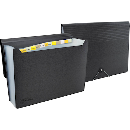 Artikelbild für RAPESCO® Fächermappe Germ-Savvy 13 Fächer schwarz, 1 St., Artikelnummer 438372