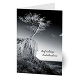Artikelbild 1 für LUMA Trauerkarte Baum LU1412 DIN B6, 1 St., Artikelnummer 878151