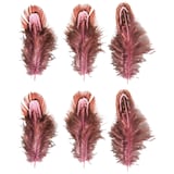 Artikelbild 1 für Rayher Federn pink, 6 St., Artikelnummer 153017