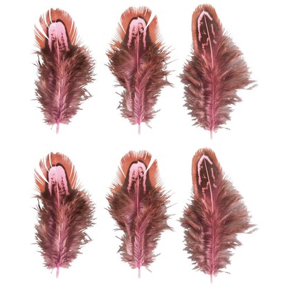 Artikelbild für Rayher Federn pink, 6 St., Artikelnummer 153017