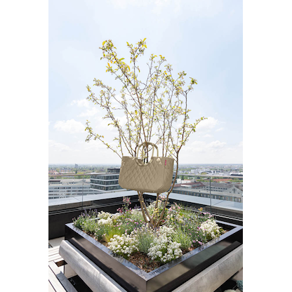 Artikelbild 5 für reisenthel® Einkaufskorb loopshopper M Kunstfaser frame rhombus olive, Artikelnummer 571343