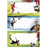 Artikelbild 1 für HERMA Schuletiketten Fussball, 6 Etiketten, Artikelnummer 709557