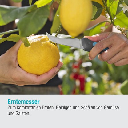 Artikelbild 5 für GARDENA Gartenmesser VeggieCut grün, 1 St., Artikelnummer 211908