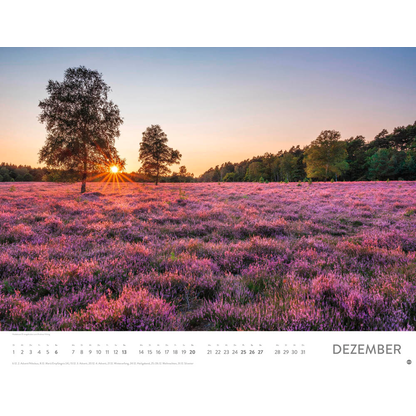 Artikelbild 13 für Heye Monats-Wandkalender Blütenmeer 2026, 1 St., Artikelnummer 551159