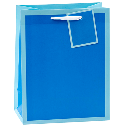 Artikelbild 3 für TSI Geschenktüten TREND MIT RAHMEN blau, rosa, rot, grün 18,0 x 23,0 cm, 12 St., Artikelnummer 651689