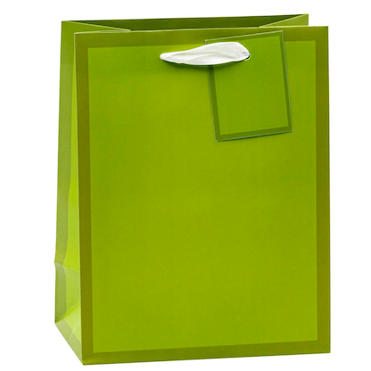 Artikelbild 6 für TSI Geschenktüten TREND MIT RAHMEN blau, rosa, rot, grün 18,0 x 23,0 cm, 12 St., Artikelnummer 651689