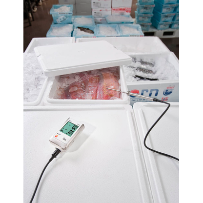 Artikelbild 3 für testo 175 T2 Temperatur-Datenlogger weiß, Artikelnummer 428316