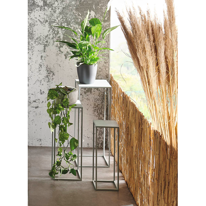 Artikelbild 4 für HAKU Möbel Pflanzenständer-Set Valletta 2 Metall grau, 3 St., Artikelnummer 650166