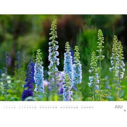 Artikelbild 8 für Heye Monats-Wandkalender Blütenmeer 2026, 1 St., Artikelnummer 551159
