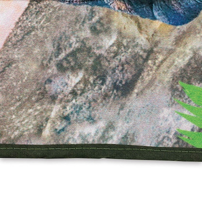 Artikelbild 7 für ROTH Jungen Kinder Malschürze Tyrannosaurus grün Einheitsgröße 1 St., Artikelnummer 580729