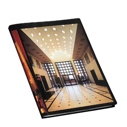 Artikelbild für FolderSys Sichtbuch DIN A4, 10 Hüllen schwarz, 1 St., Artikelnummer 642025