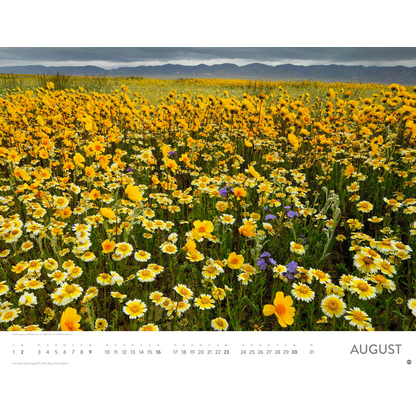 Artikelbild 9 für Heye Monats-Wandkalender Blütenmeer 2026, 1 St., Artikelnummer 551159