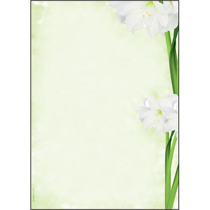 Artikelbild für SIGEL Motivpapier Green Flower Motiv DIN A4 90 g/qm 25 Blatt, Artikelnummer 700447