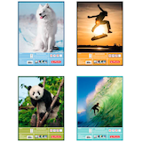 Artikelbild 1 für herlitz Zeichenblock DIN A3 100 g/m², 25 Blatt, 1 St., Artikelnummer 801229