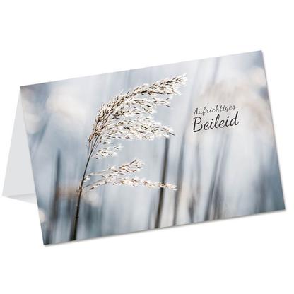 Artikelbild für LUMA Trauerkarte Grashalm LU1686 DIN B6, 1 St., Artikelnummer 404113