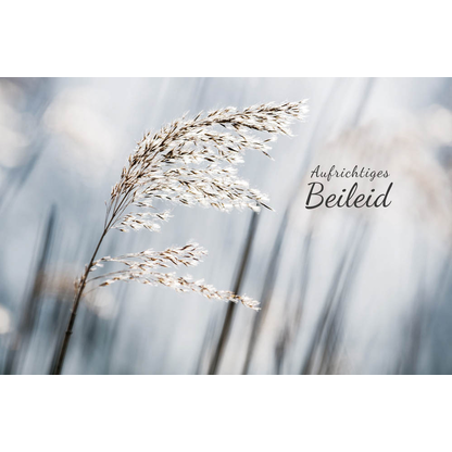 Artikelbild 2 für LUMA Trauerkarte Grashalm LU1686 DIN B6, 1 St., Artikelnummer 404113