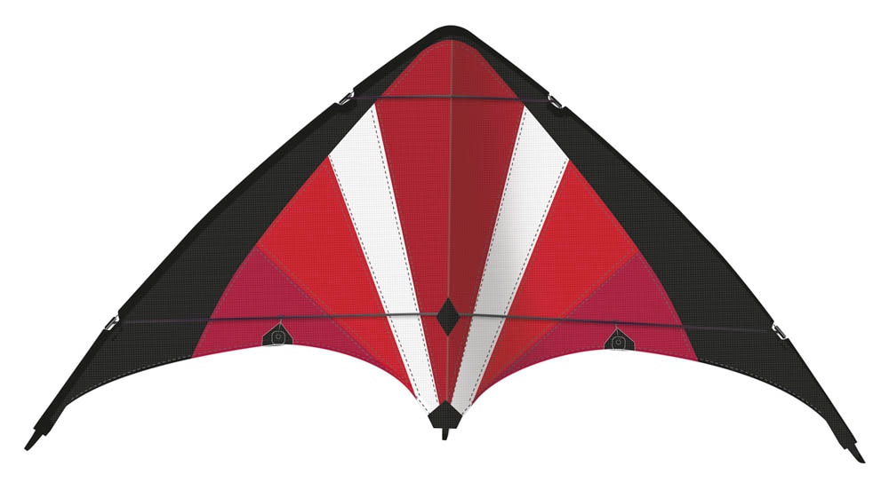 Paul Günther 1038 - Lenkbarer Parafoil Drachen Dynamic 140, Lenkdrachen, 140 x 54 cm kaufen