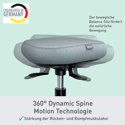 Artikelbild 11 für LEITZ Hocker Ergo Active 65770095 grau, 1 St., Artikelnummer 641898