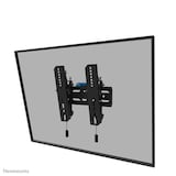Artikelbild 1 für Neomounts TV-Wandhalterung WL35S-850BL12 schwarz, Artikelnummer 741167