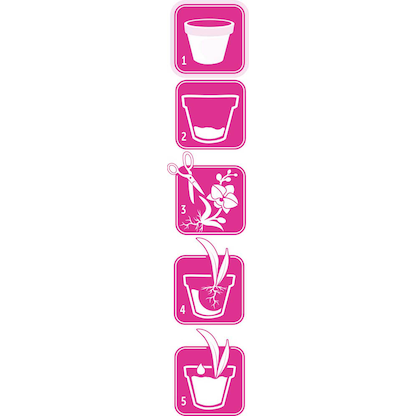 Artikelbild 8 für SUBSTRAL® Orchideen Blumenerde 6,0 l, Artikelnummer 368742