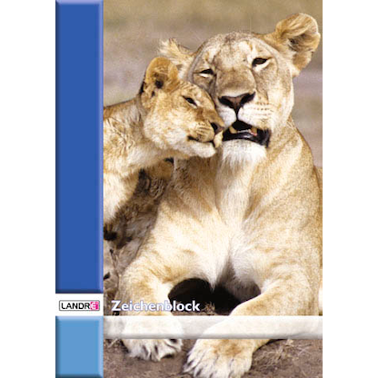 Artikelbild 5 für LANDRÉ® Zeichenblock DIN A4 100 g/qm, 20 Blatt, 1 Block, Artikelnummer 486338