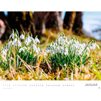 Artikelbild 2 für Heye Monats-Wandkalender Blütenmeer 2026, 1 St., Artikelnummer 551159