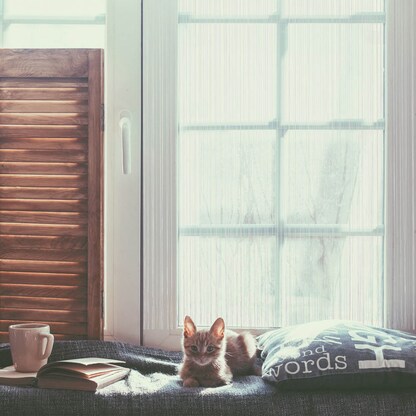 Artikelbild 2 für relaxdays Fadenvorhang weiß 145,0 x 245,0 cm, Artikelnummer 522791