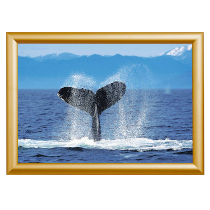 Artikelbild für Showdown® Displays Klapprahmen gold 24,1 x 32,8 cm, 1 St., Artikelnummer 427328