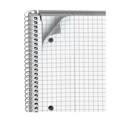 Artikelbild 4 für dundee Collegeblöcke kariert DIN A4 Innenrand, 5 Blöcke, Artikelnummer 437053