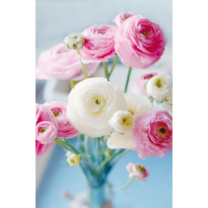 Artikelbild 2 für LUMA Grußkarte Ranunkel LU421 DIN B6, 1 St., Artikelnummer 403442