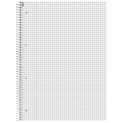 Artikelbild 3 für BRUNNEN Collegeblöcke Student Premium kariert DIN A4 Innenrand, 5 Blöcke, Artikelnummer 485495