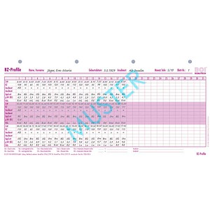 BOI BZ-Profile Formulare, 50 St.