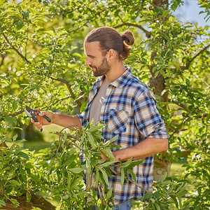 4066407022461 - GARDENA Gartenschere Gartenschere PremiumCut Pro Flex 4066407022461 - GARDENA Gartenschere Gartenschere PremiumCut Pro Flex