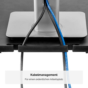 0043859529735 - 9169301 Standard Monitor Ständer schwarz grau 9169301 0043859529735 0043859529735 - 9169301 Standard Monitor Ständer schwarz grau 9169301 0043859529735
