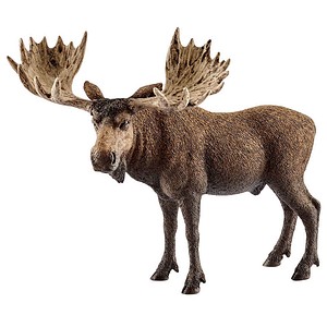 4055744012747 - Wild Life 14781 Elch Bulle Spielfigur 4055744012747 Schleich 4055744012747 - Wild Life 14781 Elch Bulle Spielfigur 4055744012747 Schleich