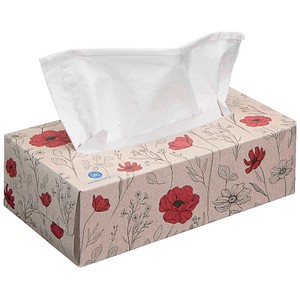 4262419330857 - Taschentücherbox 3-lagig weiß 1 St