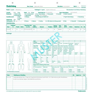 BOI Wunddokumentation Formulare, 50 St.