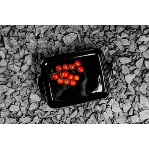 4019889147597 - Auflaufform Terra Nova® L 230500 320 x 255 cm