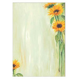 4004360966606 - SIGEL Briefpapier Motiv-Papier Sunflower A4 DIN A4 90 g m²