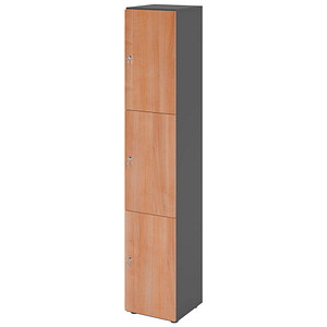 4032062313923 - HAMMERBACHER Schließfachschrank grafit nussbaum V264L3 G N DS 3 Schließfächer 400 x 420 x 2156 cm