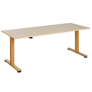 4032062320723 - HAMMERBACHER XMST19 elektrisch höhenverstellbarer Schreibtisch eiche rechteckig T-Fuß-Gestell gold 1800 x 800 cm