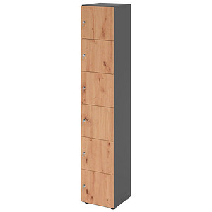 4032062313749 - HAMMERBACHER Schließfachschrank grafit asteiche V264L6 G R DS 6 Schließfächer 400 x 420 x 2156 cm 4032062313749 - HAMMERBACHER Schließfachschrank grafit asteiche V264L6 G R DS 6 Schließfächer 400 x 420 x 2156 cm
