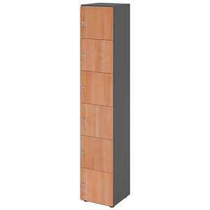 4032062313725 - HAMMERBACHER Schließfachschrank grafit nussbaum V264L6 G N DS 6 Schließfächer 400 x 420 x 2156 cm