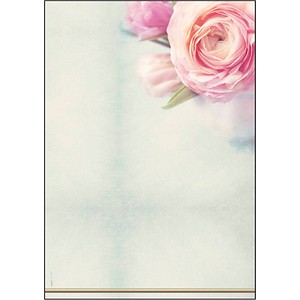 Sigel Motivpapier Rose Garden Motiv Din 90 G Qm 50 Blatt Gunstig Online Kaufen Office Discount