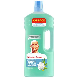 8700216624602 - FRÜHLINGSERWACHEN Allzweckreiniger 200 l 8700216624602 2 Liter